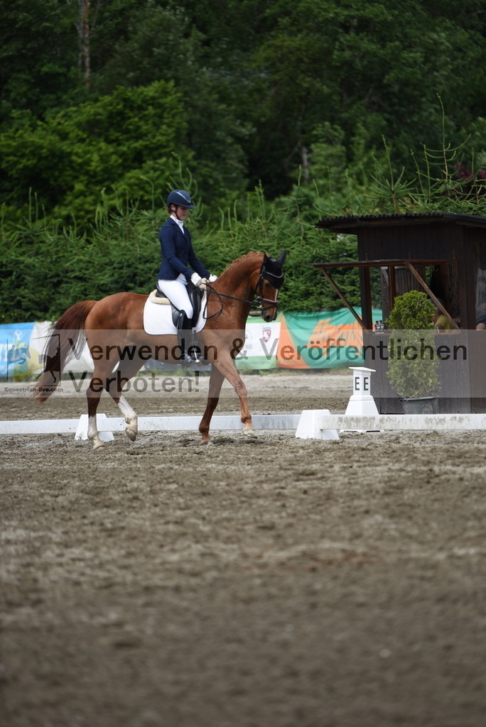 DSC_0980 | equestrian-live-com