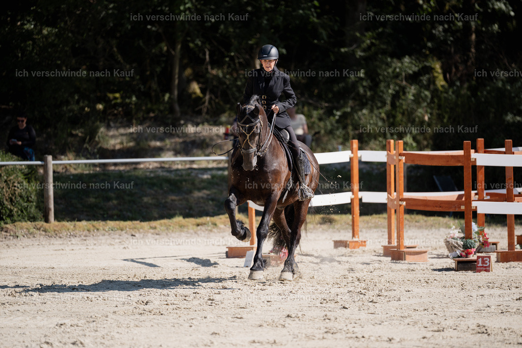 WM_ST_132_stoibphotography__SO12026 | working equitationturnier fotograf videograf stoibphotography marixx film working equitation deutschland reitsport turnierfotografie eventfotografie equestrian events
