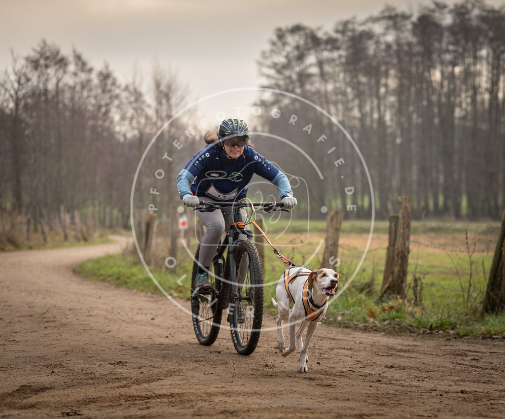Pfotenfotografie_DV3A1764 | Hundefotografie, Tierfotograf, Pfotenfotografie, Fotoshooting Hund, Hunde Portrait, Hundesport, Hundeportraits, Heideshooting, Hunde, Sportfotograf, Hundefotograf, Turnierhundsport, THS,  - Realisiert mit Pictrs.com