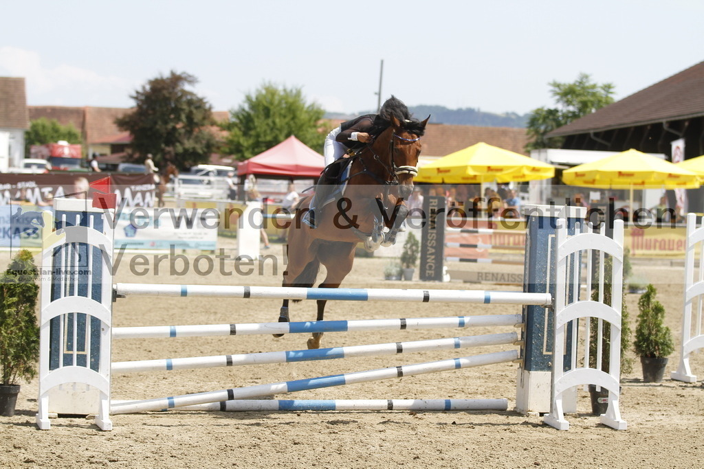 _MG_2831 | equestrian-live-com