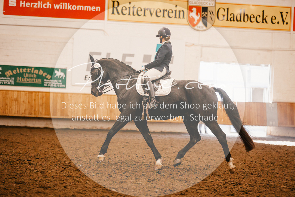 3I6A2250 | Stimmungsvolle Portraits und Reitsportfotografie im Ruhrgebiet und im Münsterland.

Pferdefotografie, Hundefotografie, Tierfotografie, Reportagen, Portraits von Tier und Mensch, Turnierfotografie in Bochum, Recklinghausen, Marl, Haltern am See, Dülmen.. - Realisiert mit Pictrs.com