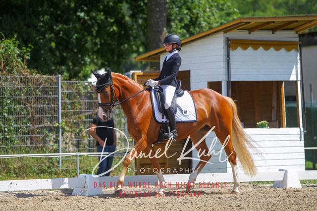 DKP42581 | Turniersportfotografie; Pferdefotografie; Dressurfotografie