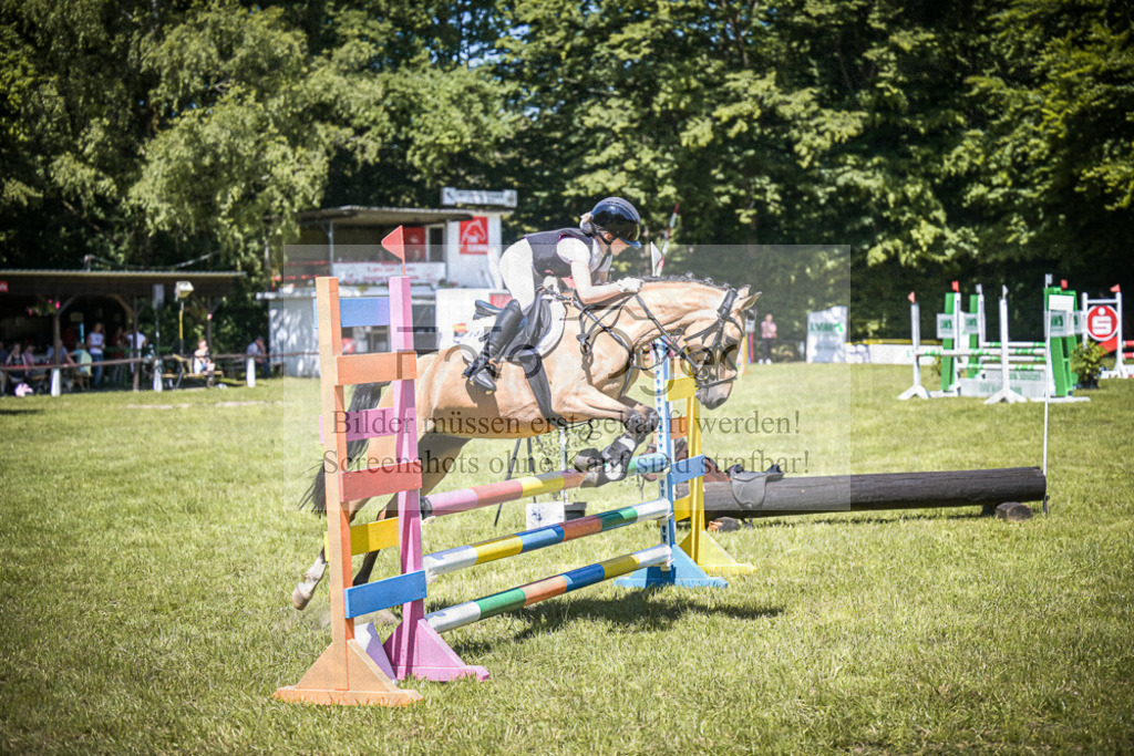 DOS_4219 | Entdecke hochwertige Reitturnierfotos von Foto Oger. Professionell, emotional und authentisch – jetzt Lieblingsmomente im Shop bestellen.Deutschlandweite Turnierfotografie. - Realisiert mit Pictrs.com