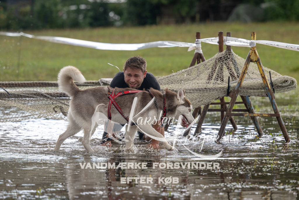 1400_ZZ90677 | kk-dogfotos