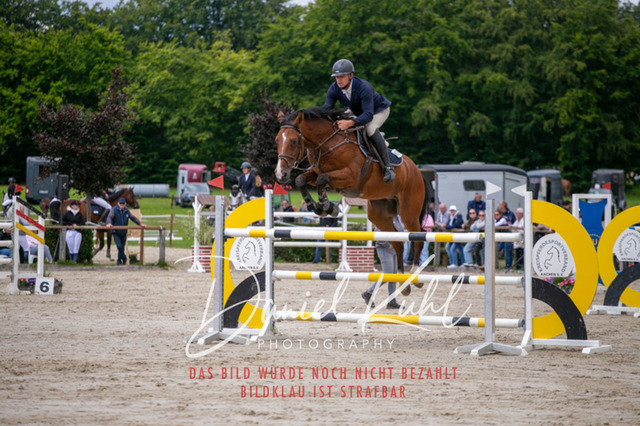 IMG_5631 | Turniersportfotografie; Pferdefotografie; Dressurfotografie