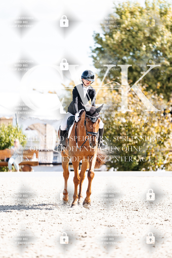 CK902889 | Turnierfotografie Pferdefotografie Trier Rheinland-Pfalz Pferdesport Reitsport Tierfotografie Sportfotografie Pferdevideo Pferdevideografie Equestrianvideography equestrianphotography  - Realisiert mit Pictrs.com