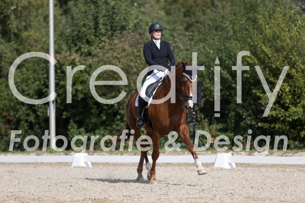 IMG_3972 | Creatify Fotografie