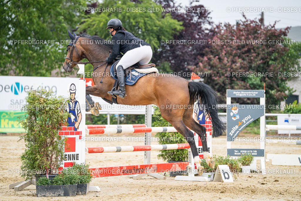 DSC00826 | Pferdegrafie