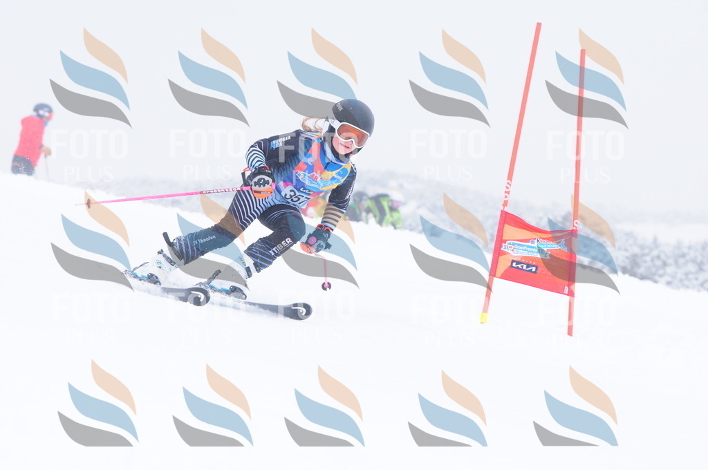 C3819 | holidayphoto