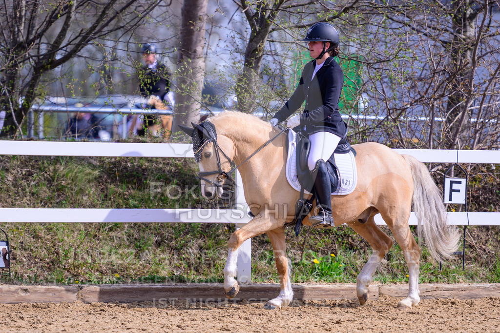 11042026-Mammendorf-Prfg30-0216 | Fokus Hufschlag Fotografie - Realisiert mit Pictrs.com