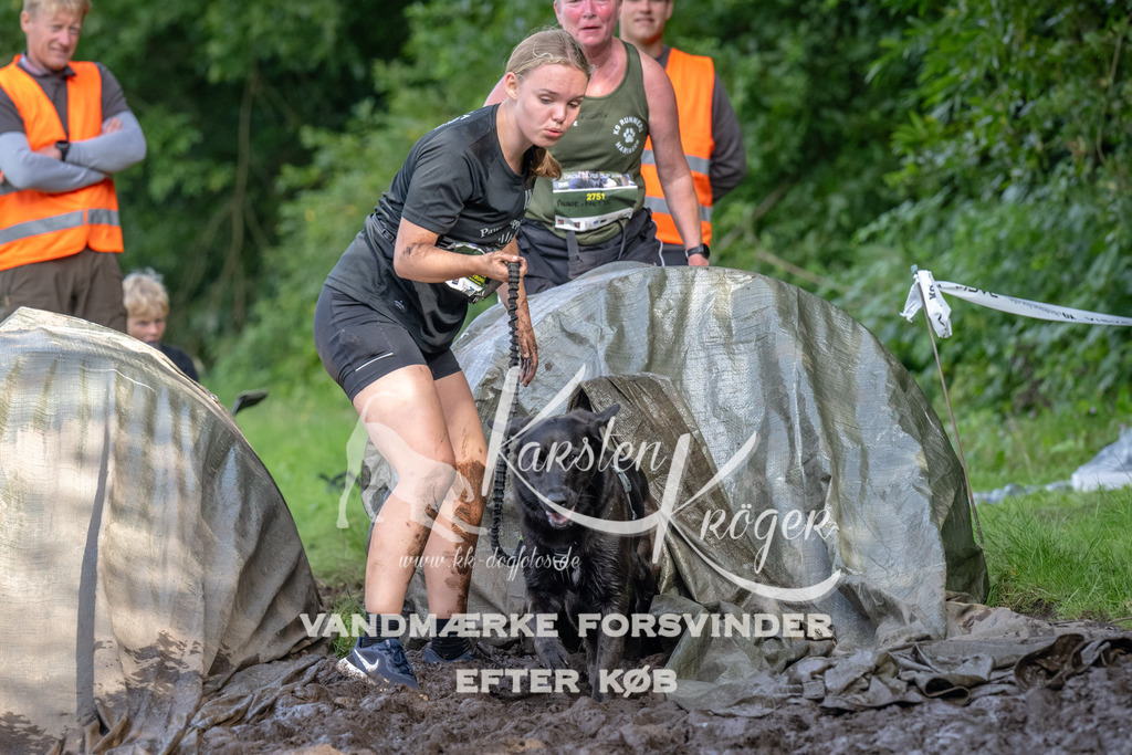 1733_ZZ92584 | kk-dogfotos