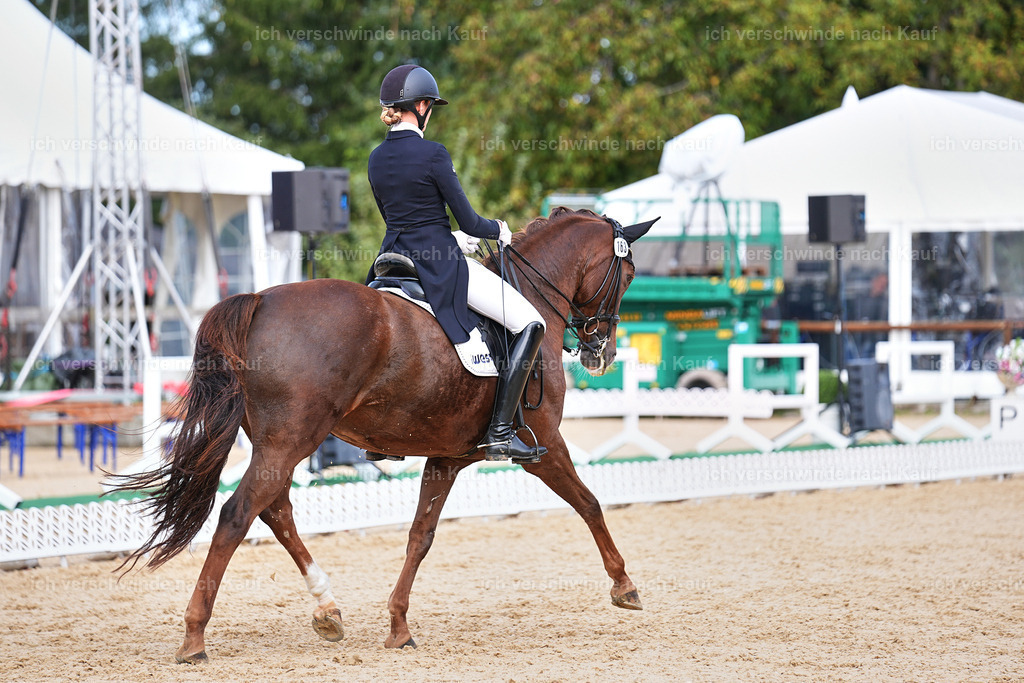 6-163-AMATUER-DRESSUR S_  -Marixx-3704 | working equitationturnier fotograf videograf stoibphotography marixx film working equitation deutschland reitsport turnierfotografie eventfotografie equestrian events