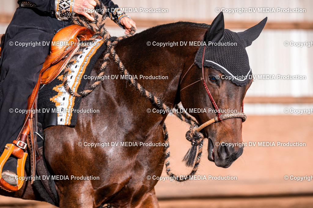 Balingen Tag 1-467 | dv-media-shop - Realisiert mit Pictrs.com