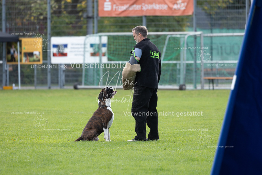 _16A6546 | Einzigartige Fotos von Hunden & Menschen –Actionfotos, Portraits, Vereinsaufnahmen & Paarshootings – authentisch, lebendig & mit Herz.