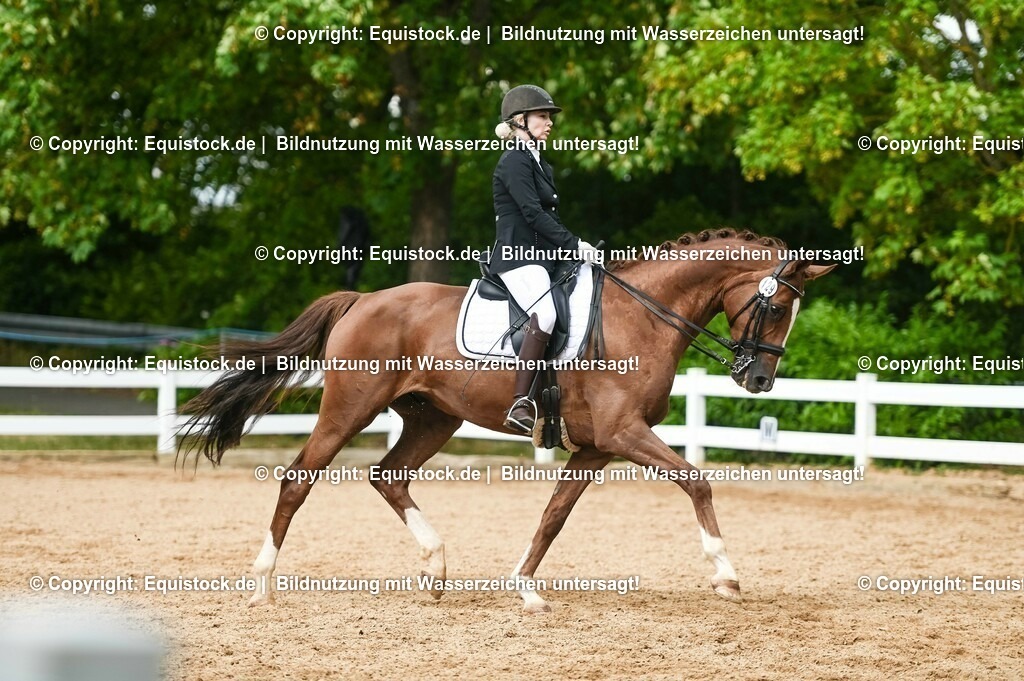 20230716_01_Dressurprüfung Kl.M_0550 | equistock