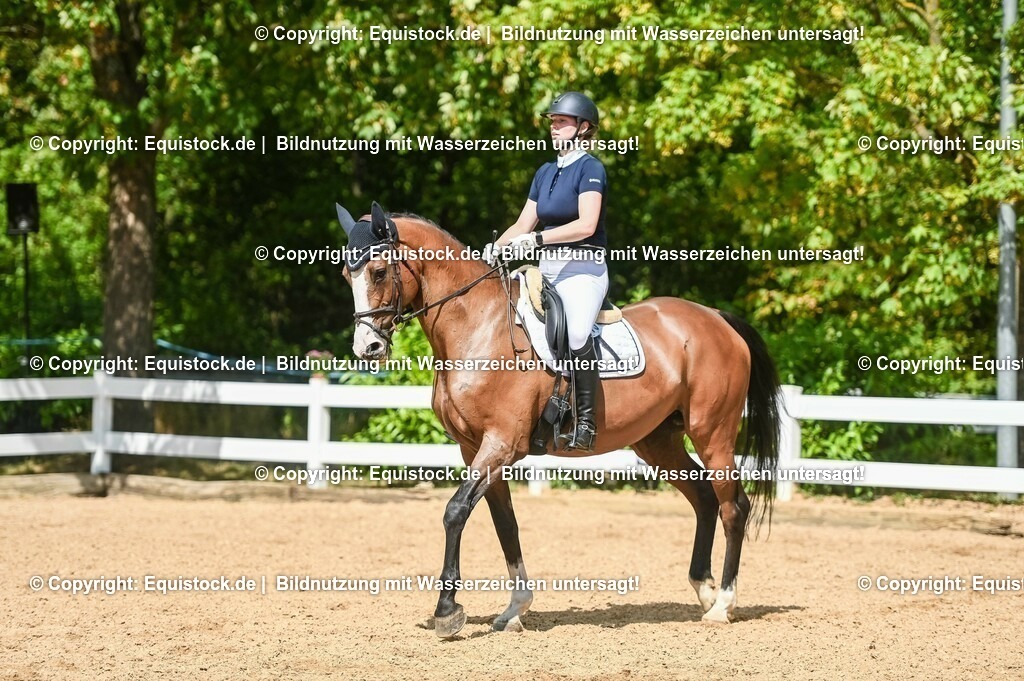 20230715_02_Dressurreiterprüfung Kl.L_0333 | equistock