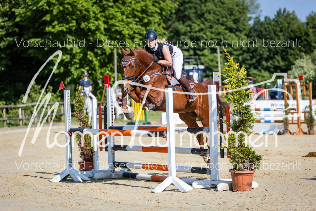 Donop24-ASpr-017 | MomenTaufnahmen Pferdesportfotos