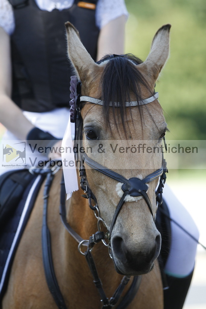 _MG_2658 | equestrian-live-com