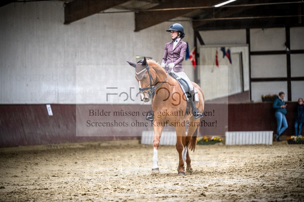 DOS_1669 | Reitturnier Lüdinghausen - Realisiert mit Pictrs.com