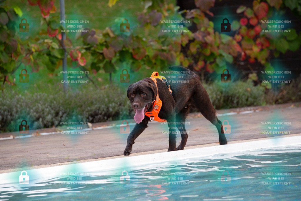 _HP_7568_1000o | HetPix, HetPix Fotodesign, Fotografie, Fotodesign, Webshop, Sportfotografie, Portraitfotografie, Onlineshop, Sportfotografie, Polch, Motorsportfotografie, Eventfotografie