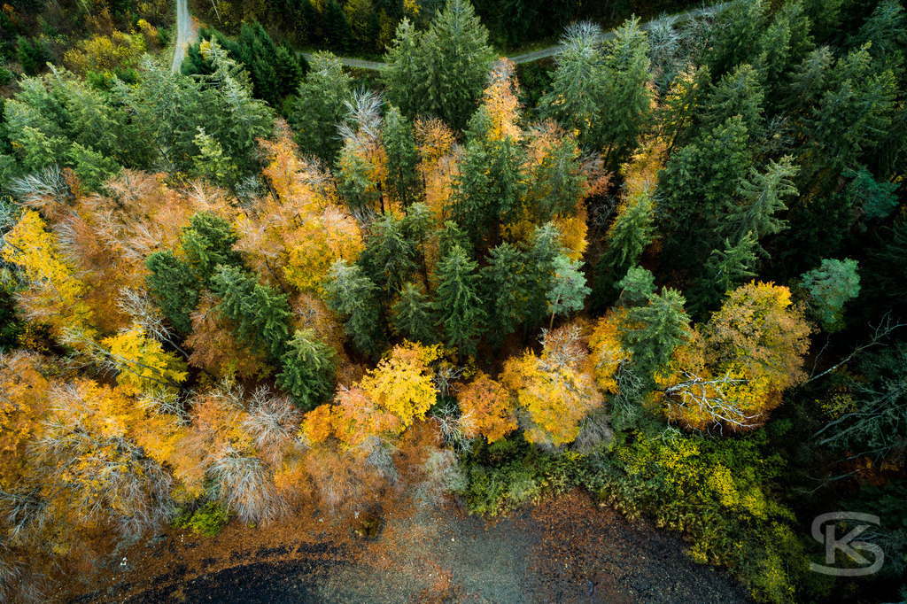 Allgäu-See-Landschaft aus der Luft mit dichtem Nadelwald im Herbst | Atemberaubende Allgäu-See-Landschaft aus der Luft mit farbenprächtigem Nadelwald im Herbst – idyllische Natur, klare Gewässer und leuchtende Herbstfarben für beeindruckende Drohnenaufnahme - Realisiert mit Pictrs.com