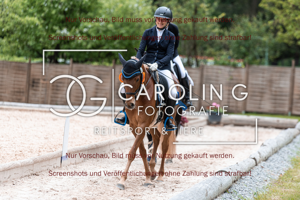 DSC_7140 | Turnierfotografin Carolin Gieschke,Reitsport Turnierfotografie Carolin G Fotografie | Turnierfotos aus Kirchheim/Teck, Esslingen, Stuttgart und dem Bodenseekreis