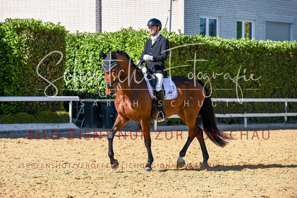 Schugtsche-Aluta25-50.Dressurpferdeprf.L-253 | Schugtsche Fotografie - Realisiert mit Pictrs.com