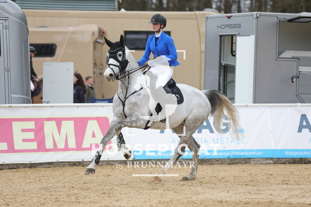 0P6A3677 | Willkommen bei Brunnmayr - Design & Fotografie – Ihrem Spezialisten für Reitturniere und Pferdeveranstaltungen in Oberösterreich, Salzburg und Bayern! Seit über 17 Jahren sind wir leidenschaftlich dabei.