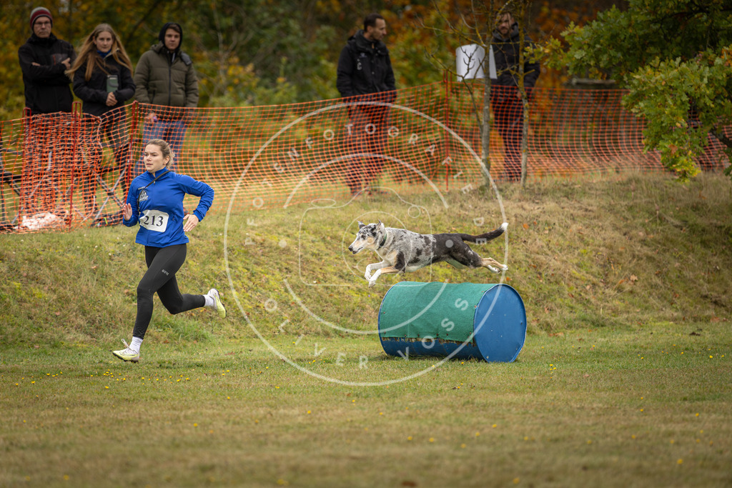 Pfotenfotografie_DV3A4270 | Hundefotografie, Tierfotograf, Pfotenfotografie, Fotoshooting Hund, Hunde Portrait, Hundesport, Hundeportraits, Heideshooting, Hunde, Sportfotograf, Hundefotograf, Turnierhundsport, THS,  - Realisiert mit Pictrs.com