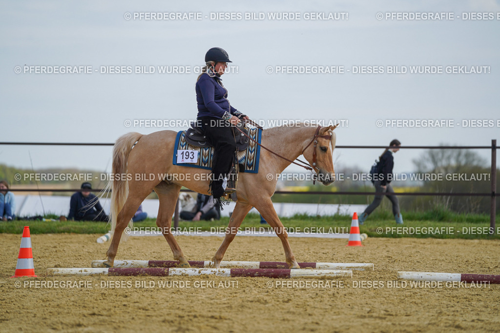 DSC05122 | Pferdegrafie