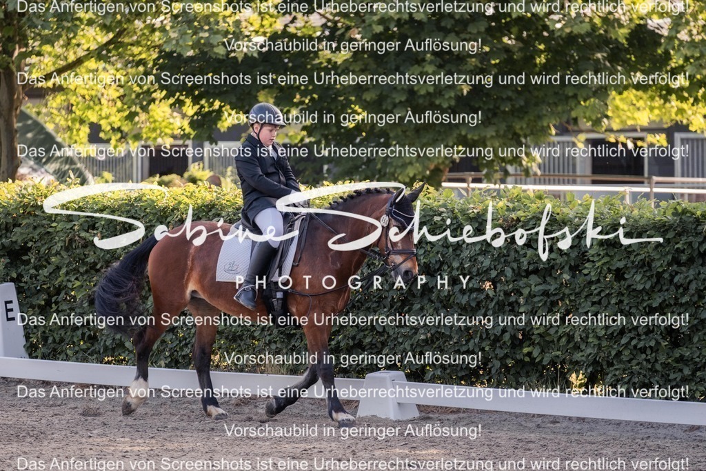 2025_05_31_DSCF2685 | People- und Tierfotografie, Imageaufnahmen, Veranstaltungsfotografie und Wandbilder aus der Natur ★ Made in Germany ✔️ Druck + Downloads ✔️ Naturfotografie in Top Qualität ★ schneller Versand, weltweite Lieferung! - Realisiert mit Pictrs.com