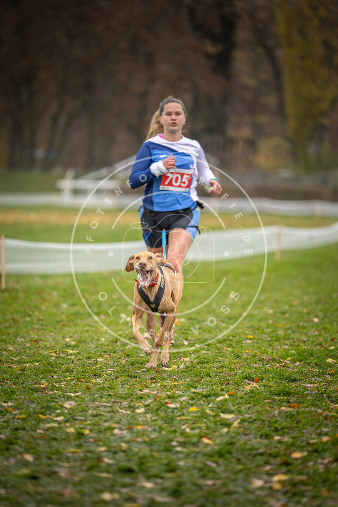 CaniXpix_DV3A9410 | Hundefotografie, Tierfotograf, Pfotenfotografie, Fotoshooting Hund, Hunde Portrait, Hundesport, Hundeportraits, Heideshooting, Hunde, Sportfotograf, Hundefotograf, Turnierhundsport, THS,  - Realisiert mit Pictrs.com
