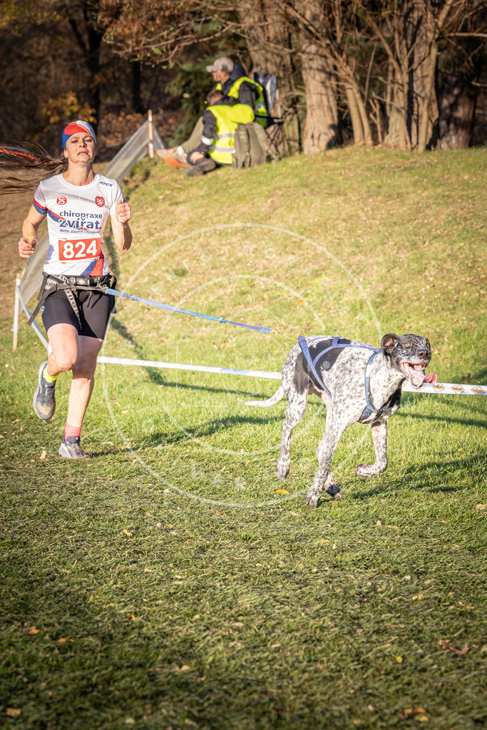 CaniXpix_0L8A0550 | Hundefotografie, Tierfotograf, Pfotenfotografie, Fotoshooting Hund, Hunde Portrait, Hundesport, Hundeportraits, Heideshooting, Hunde, Sportfotograf, Hundefotograf, Turnierhundsport, THS,  - Realisiert mit Pictrs.com