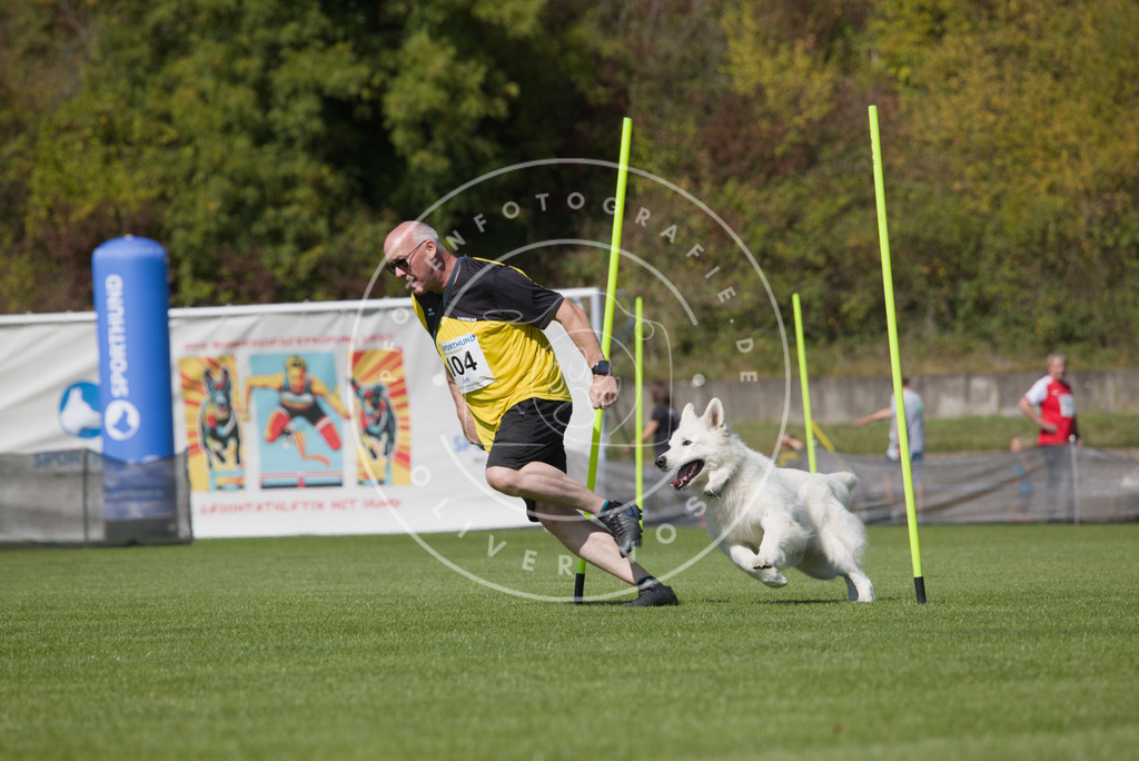 0L8A2615 | Hundefotografie, Tierfotograf, Pfotenfotografie, Fotoshooting Hund, Hunde Portrait, Hundesport, Hundeportraits, Heideshooting, Hunde, Sportfotograf, Hundefotograf, Turnierhundsport, THS,  - Realisiert mit Pictrs.com