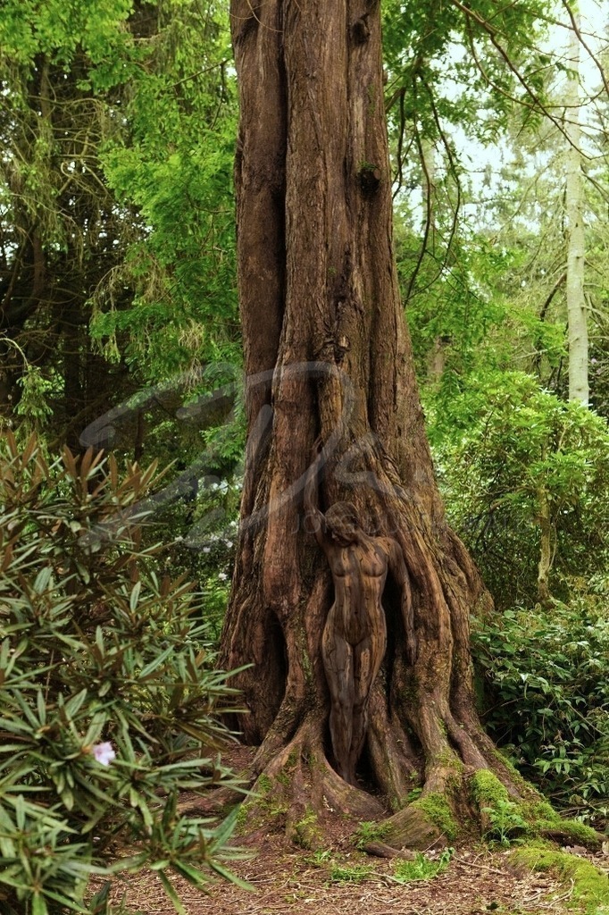 NatureArt-RHODOPARK_8018c | Sinnliche Wurzel vom Mammutbaum | #004 | Modell: Darky | Foto: Andrej Laukart - Realisiert mit Pictrs.com