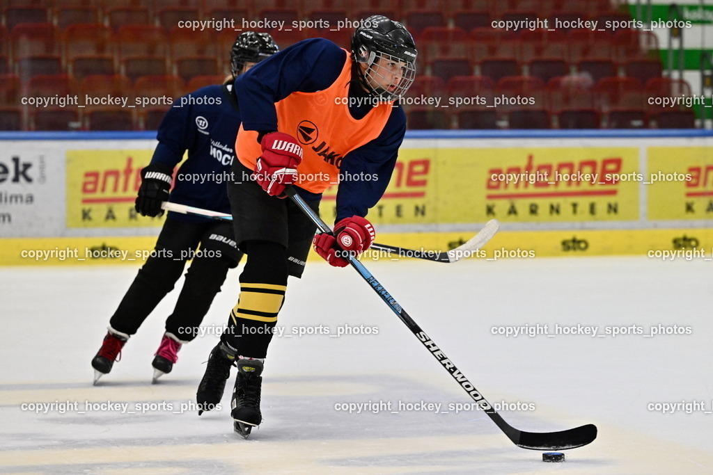 Z9B_3338 | hockey sports photos, Pressefotos, Sportfotos, hockey247, win 2day icehockeyleague, Handball Austria, Floorball Austria, ÖVV, Kärntner Eishockeyverband, KEHV, KFV, Kärntner Fussballverband, Österreichischer Volleyballverband, Alps Hockey League, ÖFB, 