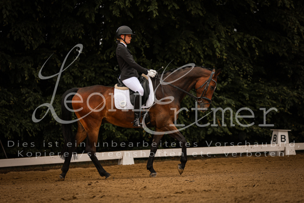 DoDrE00064 | Leoni Ertmer Photography - Realisiert mit Pictrs.com