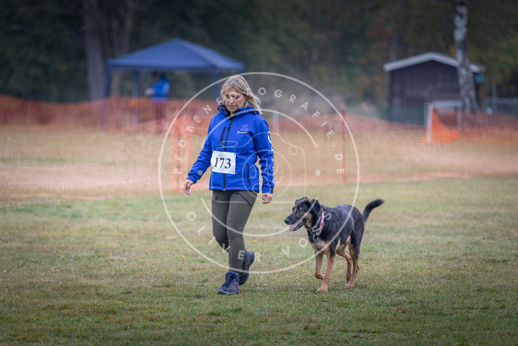 Pfotenfotografie_DV3A9585 | Hundefotografie, Tierfotograf, Pfotenfotografie, Fotoshooting Hund, Hunde Portrait, Hundesport, Hundeportraits, Heideshooting, Hunde, Sportfotograf, Hundefotograf, Turnierhundsport, THS,  - Realisiert mit Pictrs.com