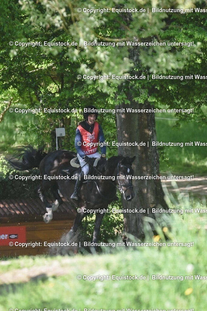 20250517_CCI2_Gelände_0017-2 | Foto: Thomas Hartig