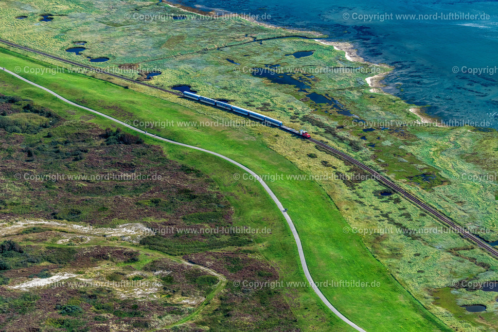 Wangerooge_Inselbahn_Seegraswiesen_ELS_8422050923 | WANGEROOGE 05.09.2023 Grasflächen- Strukturen einer Hallig- Landschaft mit fahrenden Zug der Wangerooger Inselbahn - Schmalspurbahn in Wangerooge im Bundesland Niedersachsen, Deutschland. Weiterführende Informationen bei: Deutsche Bahn Stiftung gGmbH DB Museum,  Kurverwaltung Nordseeheilbad Wangerooge. // Grassland structures of a Hallig landscape with moving train of the Wangerooger Inselbahn - narrow-gauge railway in Wangerooge in the state Lower Saxony, Germany. Further information at: Deutsche Bahn Stiftung gGmbH DB Museum,  Kurverwaltung Nordseeheilbad Wangerooge. Foto: Martin Elsen