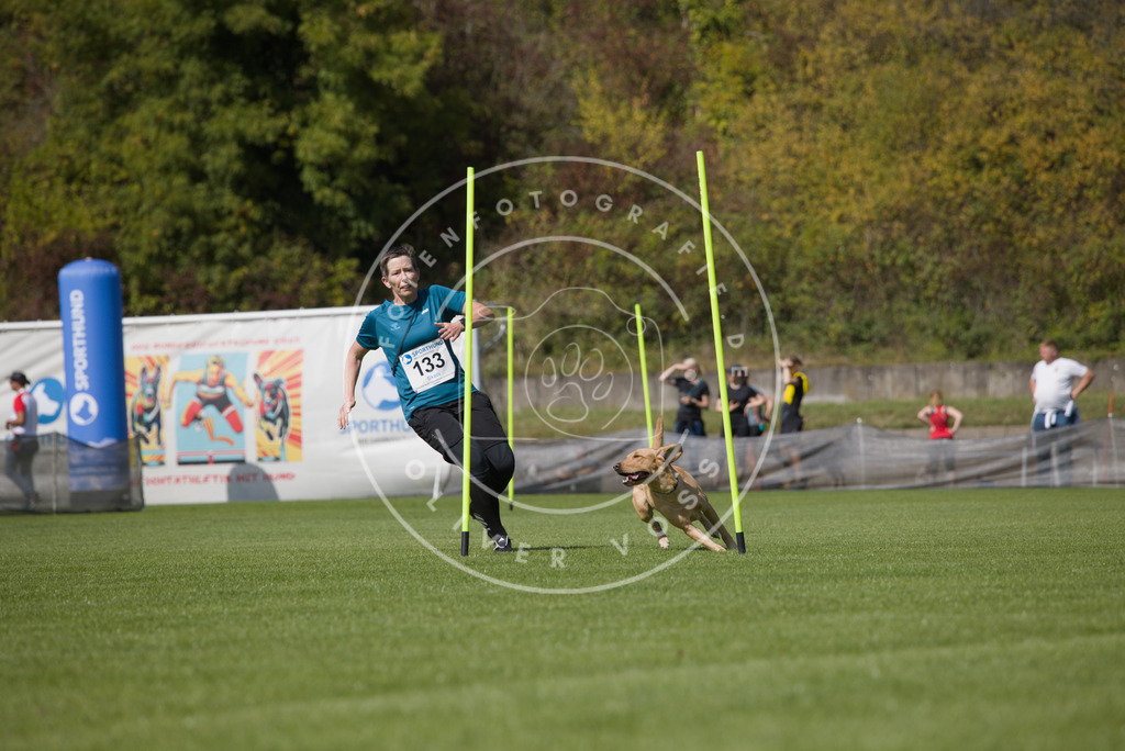 0L8A2946 | Hundefotografie, Tierfotograf, Pfotenfotografie, Fotoshooting Hund, Hunde Portrait, Hundesport, Hundeportraits, Heideshooting, Hunde, Sportfotograf, Hundefotograf, Turnierhundsport, THS,  - Realisiert mit Pictrs.com