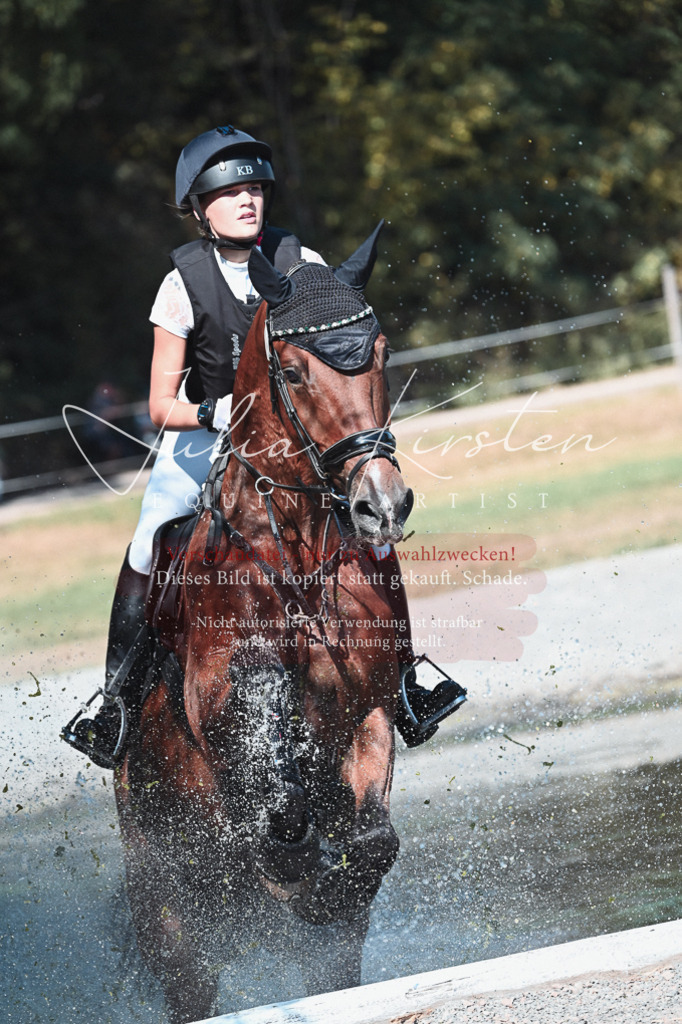 DSC_8598 | Pferde- und Turnierfotografie in Westsachsen. Pferdeportraits, Auftragszeichnungen und intuitive Kunst.