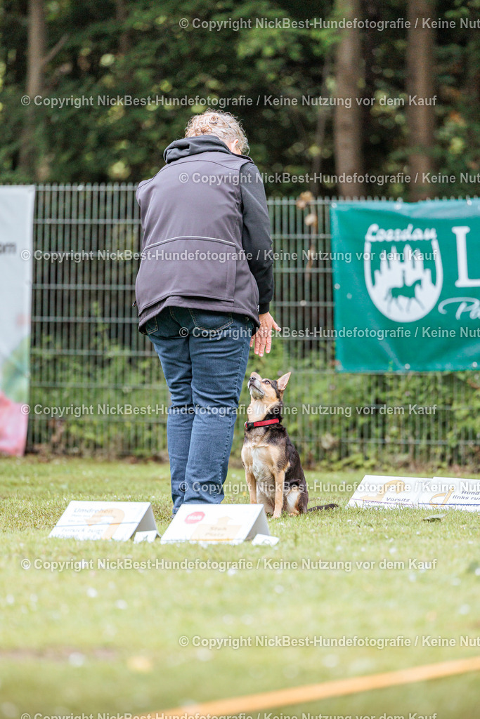 RO-Blumenthal-2026-Nickbest-Hundefotografie-4481 | Dein Hund! Dein Moment! Deine Erinnerungen! Hundefotografie in Bremen Blumenthal. Ich fange die besonderen Momente deines Vierbeiners ein – ob Indoor mit Blitzanlage oder in der freien Natur. Sicher dir dein Moment und dein Termin für eure Erinnerungen.