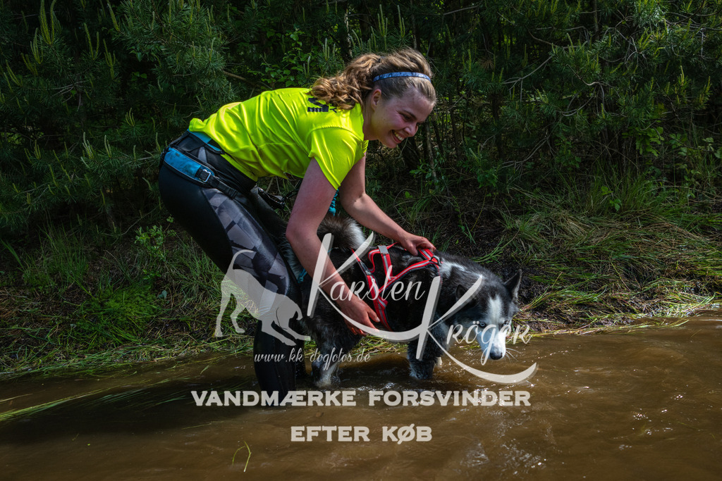 1139DKK990807 | kk-dogfotos