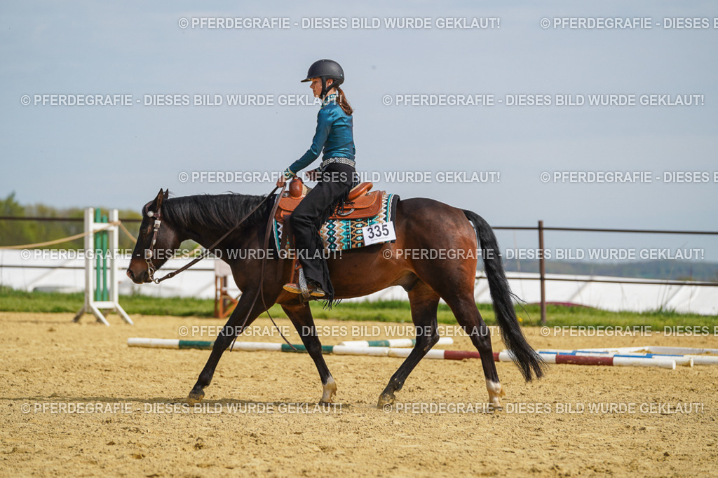 DSC04351 | Pferdegrafie