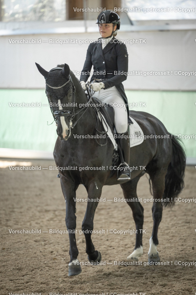 _D5A2106 | Emotionale Pferde- & People-Fotografie rund um Heidelberg, Leimen & Umgebung. Natürliche Fotos von Pferd, Mensch & Familie. Jetzt Termin sichern!