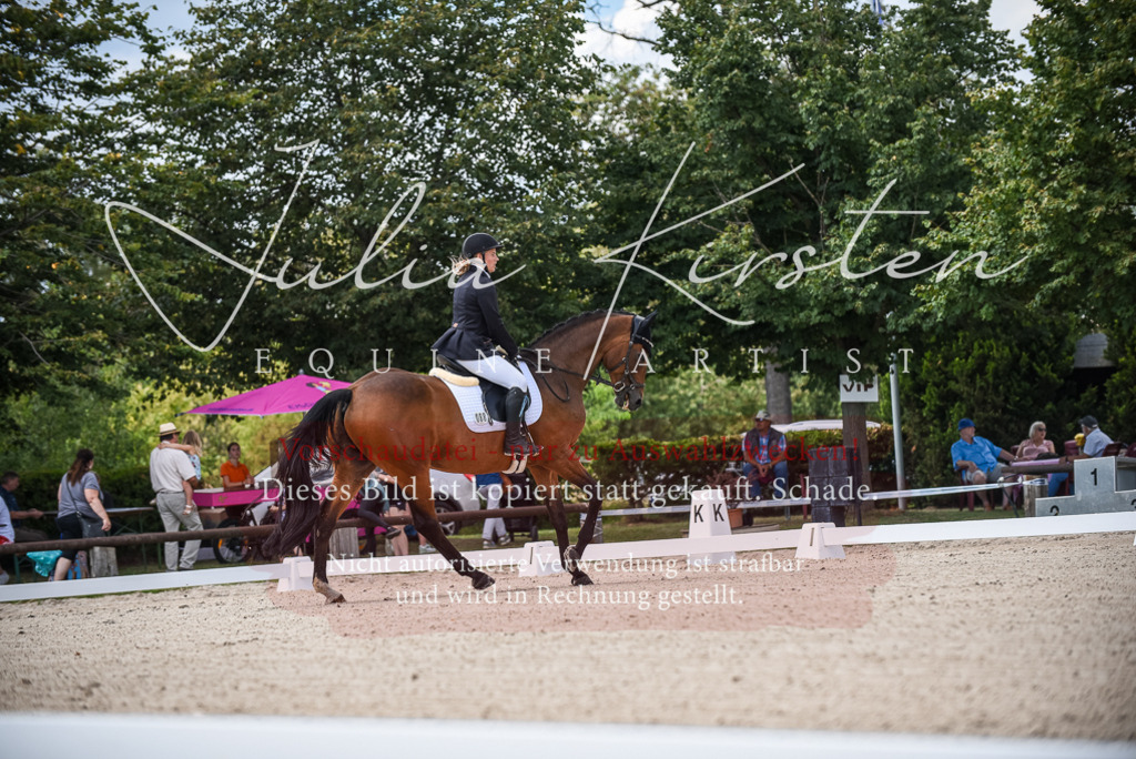 DSC_9018 | Pferde- und Turnierfotografie in Westsachsen. Pferdeportraits, Auftragszeichnungen und intuitive Kunst.