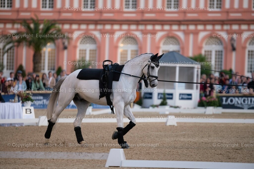 20230527_Voltigieren_NASPA_Flutlicht_0077 | equistock