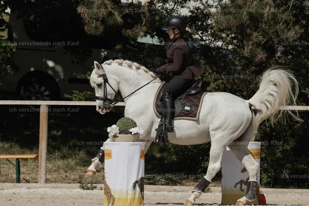 WE_ST_Stoib_318_PI2025_953 | Pferd International München 2025