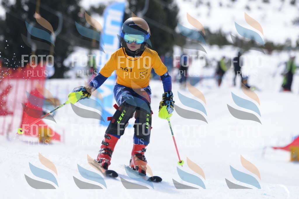 C9414 | holidayphoto